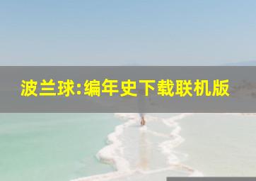 波兰球:编年史下载联机版