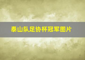 泰山队足协杯冠军图片