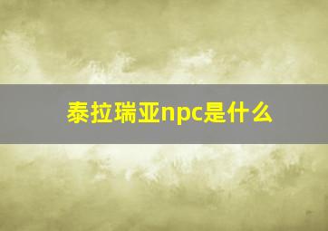 泰拉瑞亚npc是什么