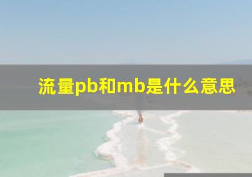 流量pb和mb是什么意思