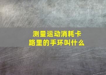 测量运动消耗卡路里的手环叫什么