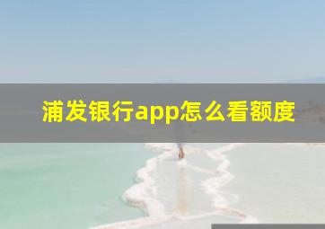 浦发银行app怎么看额度