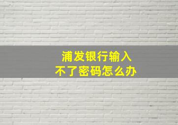 浦发银行输入不了密码怎么办