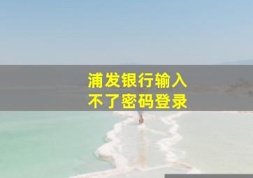 浦发银行输入不了密码登录