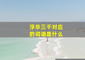 浮华三千对应的词语是什么