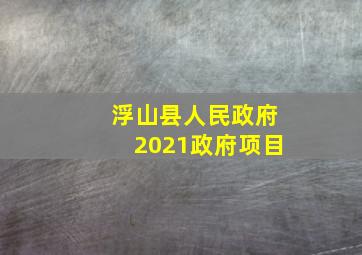 浮山县人民政府2021政府项目