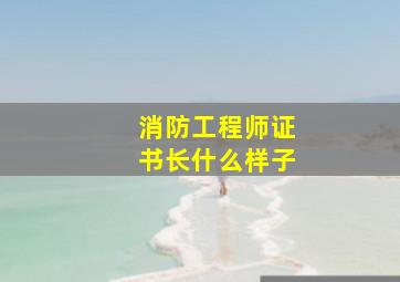 消防工程师证书长什么样子