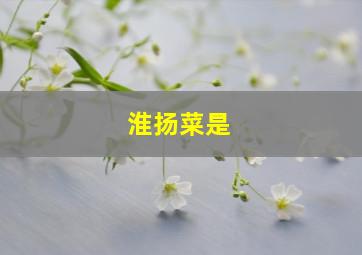 淮扬菜是