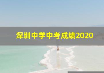 深圳中学中考成绩2020