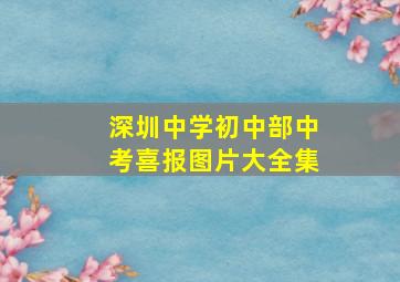 深圳中学初中部中考喜报图片大全集