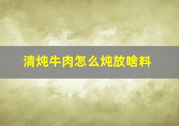 清炖牛肉怎么炖放啥料