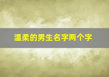 温柔的男生名字两个字