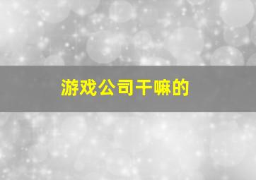 游戏公司干嘛的