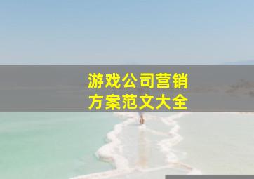 游戏公司营销方案范文大全