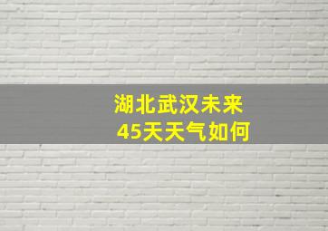 湖北武汉未来45天天气如何