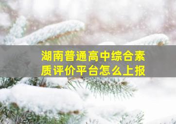 湖南普通高中综合素质评价平台怎么上报