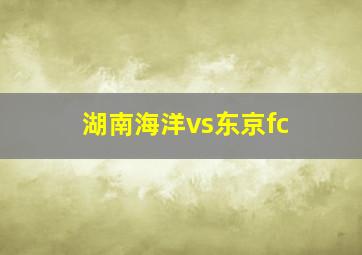 湖南海洋vs东京fc