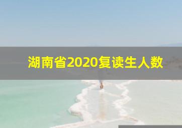 湖南省2020复读生人数