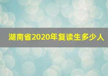 湖南省2020年复读生多少人