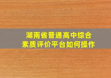 湖南省普通高中综合素质评价平台如何操作