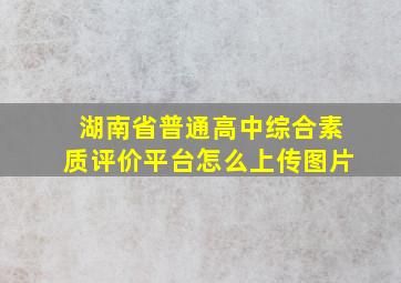 湖南省普通高中综合素质评价平台怎么上传图片