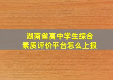 湖南省高中学生综合素质评价平台怎么上报