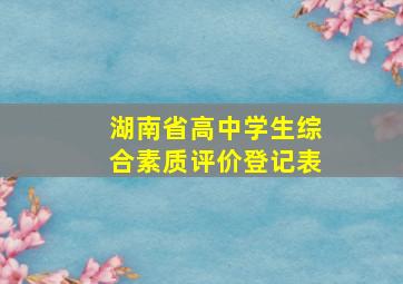 湖南省高中学生综合素质评价登记表