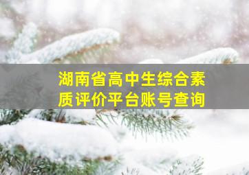 湖南省高中生综合素质评价平台账号查询