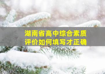 湖南省高中综合素质评价如何填写才正确