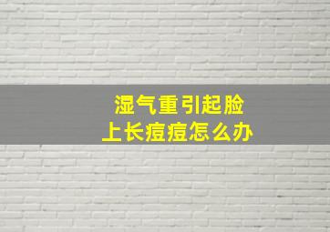 湿气重引起脸上长痘痘怎么办