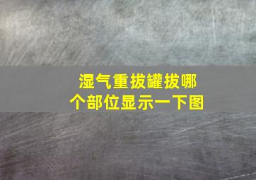 湿气重拔罐拔哪个部位显示一下图