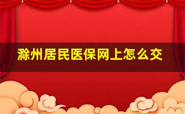 滁州居民医保网上怎么交