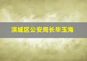 滨城区公安局长毕玉海