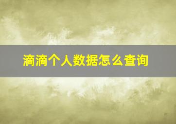 滴滴个人数据怎么查询