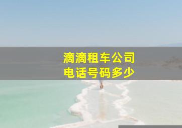 滴滴租车公司电话号码多少