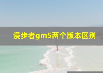 漫步者gm5两个版本区别