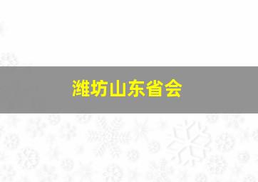 潍坊山东省会