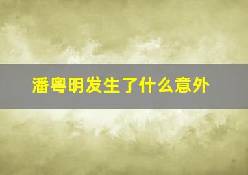 潘粤明发生了什么意外