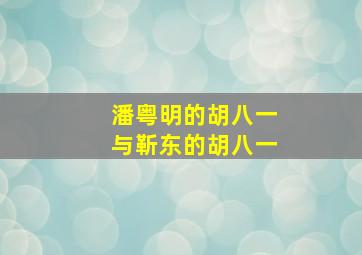 潘粤明的胡八一与靳东的胡八一