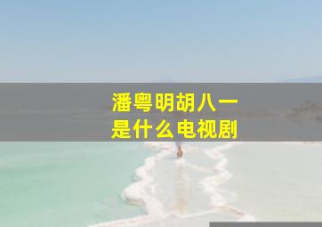 潘粤明胡八一是什么电视剧