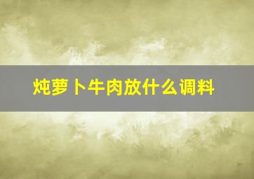 炖萝卜牛肉放什么调料