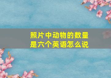 照片中动物的数量是六个英语怎么说