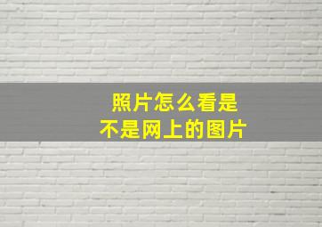 照片怎么看是不是网上的图片