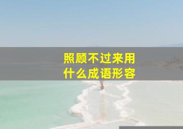 照顾不过来用什么成语形容