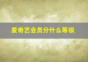 爱奇艺会员分什么等级