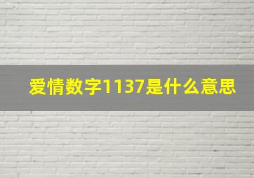 爱情数字1137是什么意思