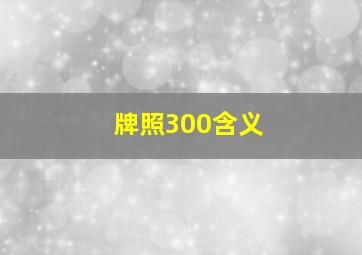 牌照300含义