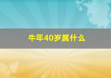 牛年40岁属什么