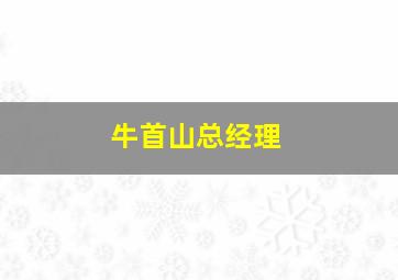 牛首山总经理