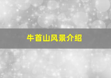 牛首山风景介绍